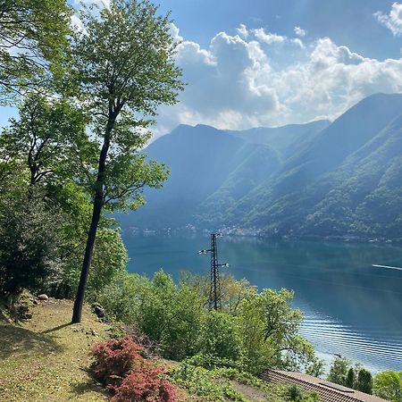 Tra Lago E Montagna Baita La Morena 内索 外观 照片