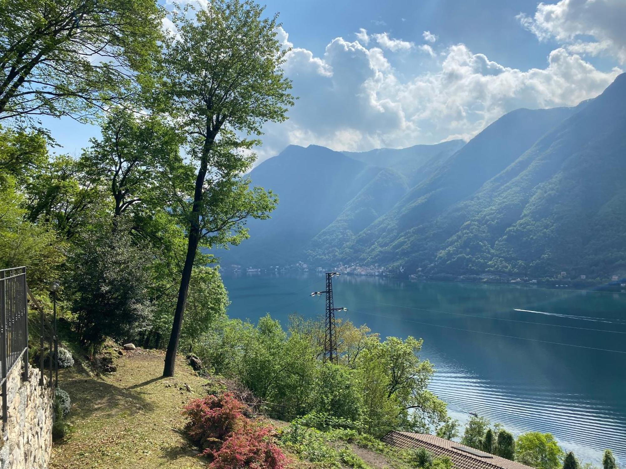 Tra Lago E Montagna Baita La Morena 内索 外观 照片