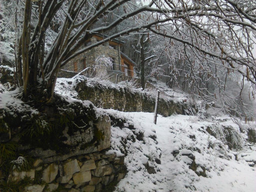Tra Lago E Montagna Baita La Morena 内索 外观 照片