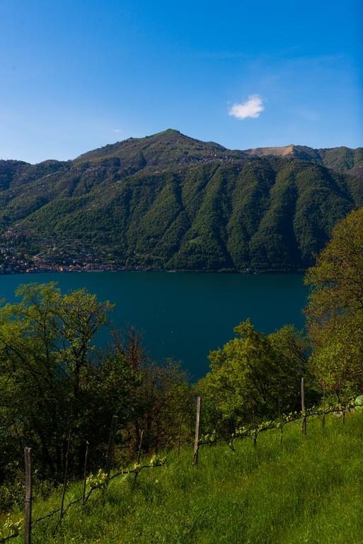 Tra Lago E Montagna Baita La Morena 内索 外观 照片