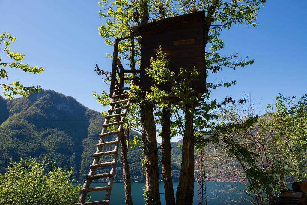 Tra Lago E Montagna Baita La Morena 内索 外观 照片